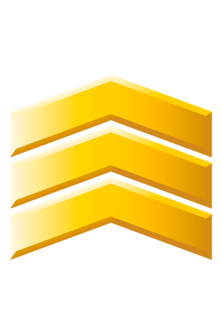 File:Sergeant.png