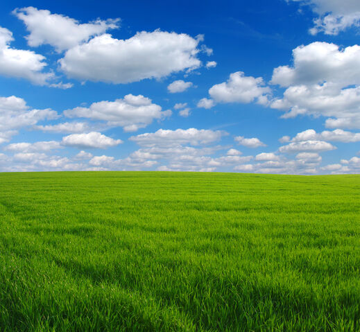 File:USER Dreamstimefree 10509135-1.jpg