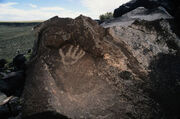 Hand