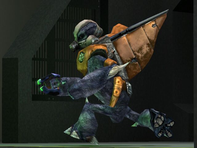 File:Grunt2.jpg