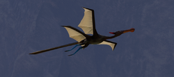 H2A Campaign ForerunnerBird