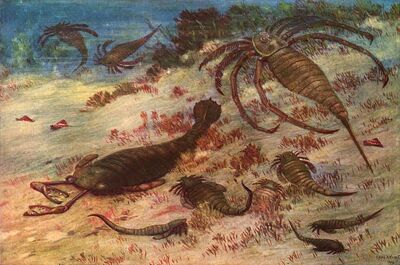 Eurypterida.jpg
