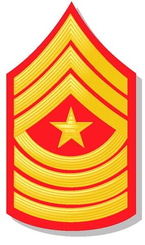 File:Sergeant major.jpg