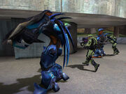 Halo-1-2-