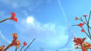 Halo Nature