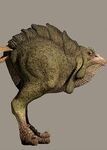 Animal extraño.jpg
