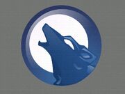 Amarok Logo (2).jpg