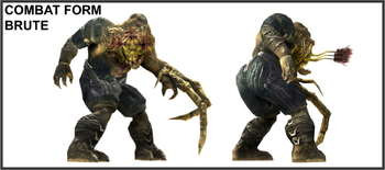 BruteFloodCombatForm.png