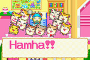 Guia hamtaro1.jpg