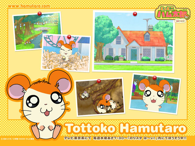 File:Hamutaro1280.jpg