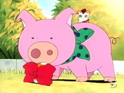 Jingle sobre Herbert.png