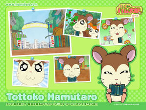 Noppo1280-0