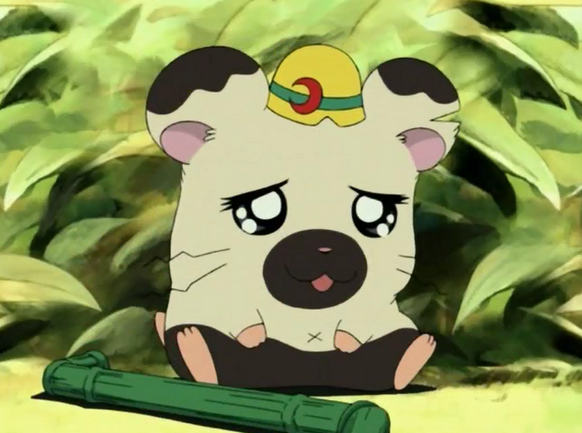 File:19055.png