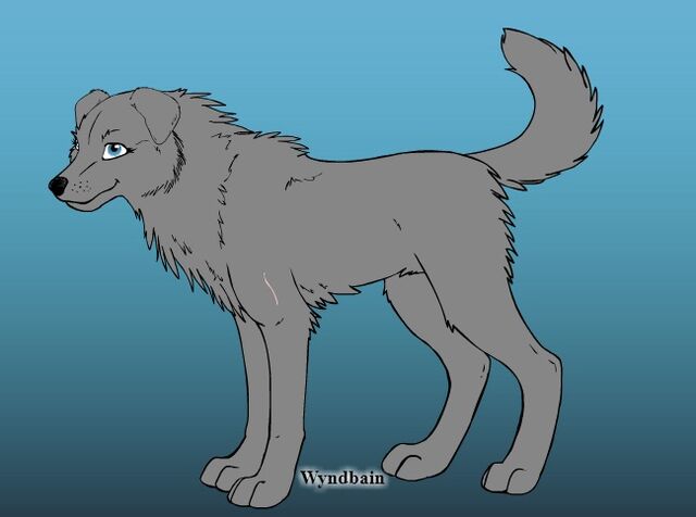File:Wolf creator 2.jpg