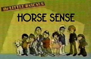Horse Sense