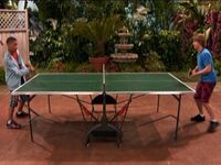 Jackson ping-pong.jpg
