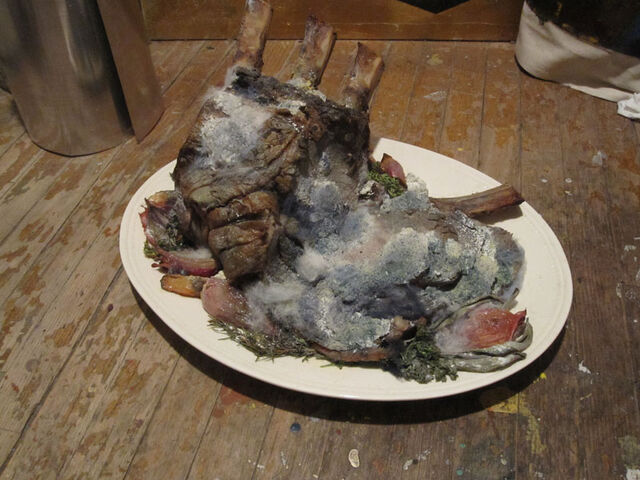 File:Not yummy.jpg