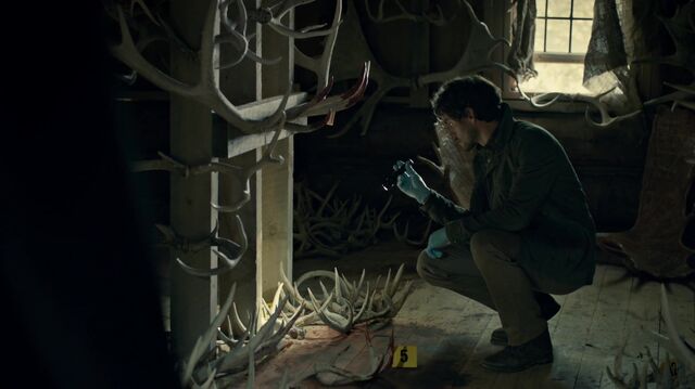 File:1x02 TheNestOfTheShrike.jpg