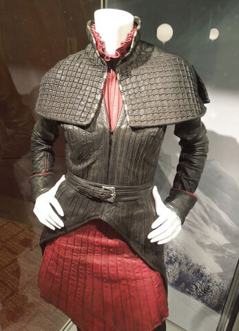 File:HW costume.jpg