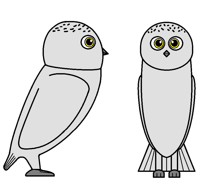 Literary analysis essay outline picture