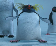 Lovelace's Appearance