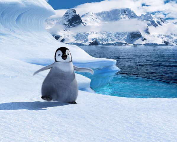 File:2006 happy feet 001.jpg