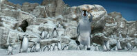 Happy-feet-disneyscreencaps.com-10277