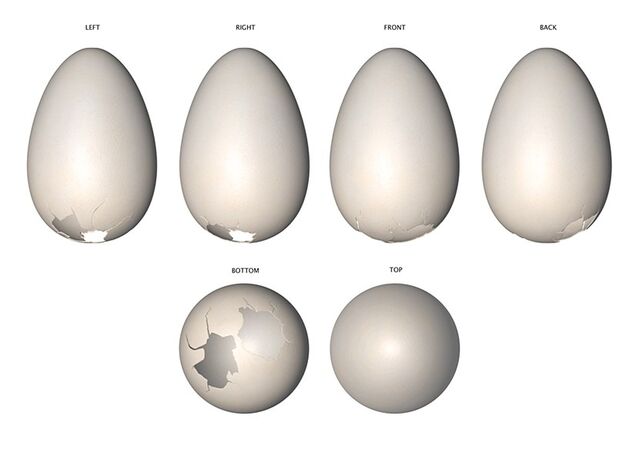 File:Mumble's Egg Concept Sheet.jpg