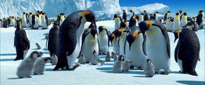 Happy-feet-disneyscreencaps.com-716