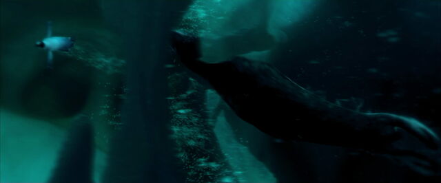 File:Happy-feet-disneyscreencaps.com-3982.jpg