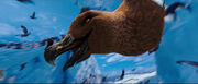 Happy-feet2-disneyscreencaps.com-6131