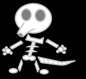 Skeleton