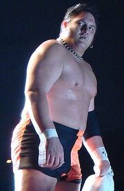 200px-SamoaJoe