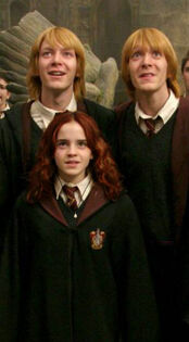 Prisoner-of-Azkaban-willa