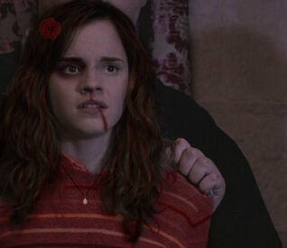 Ron-Hermione-Screencaps-Order-of-the-Phoenix-romione-2633934-1280-528