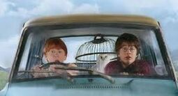 Flying to Hogwarts