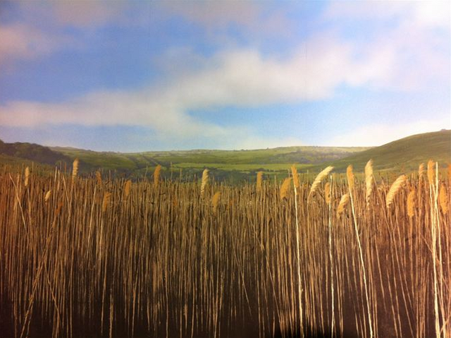Soubor:Ottery St. Catchpole.png