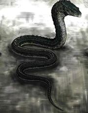 JENNA - 250px-Slytherin's Basilisk