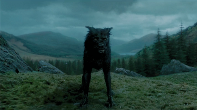 File:Padfoot.png