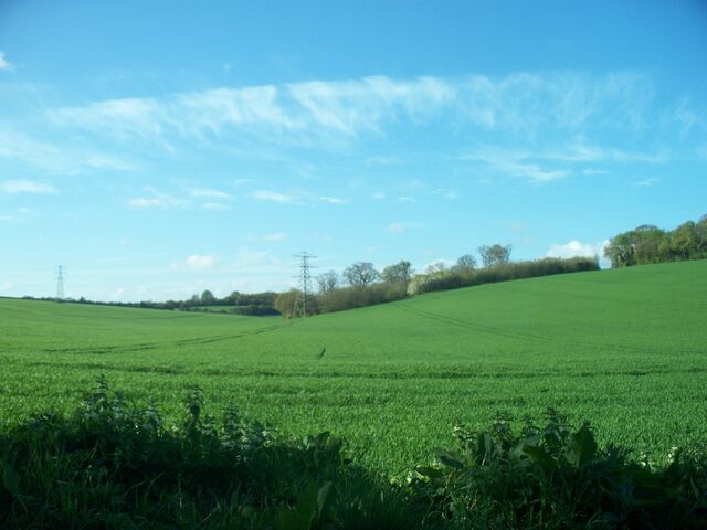 File:Photography i have taken.jpg