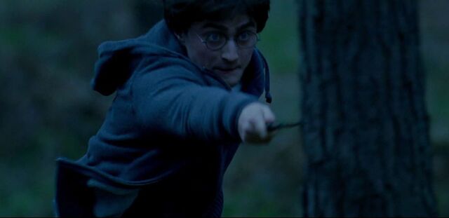 File:Harry Potter fighting back.jpg