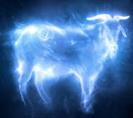 Goat Patronus.jpg