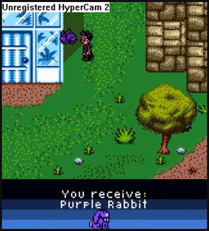 Purple Rabbit
