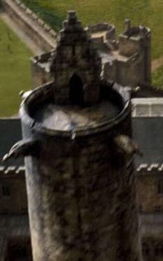 Torre Negra