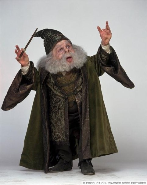 filius flitwick filius flitwick