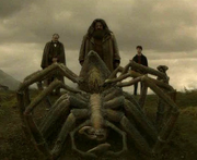 Aragog mort.png