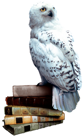 File:Hedwig books.png