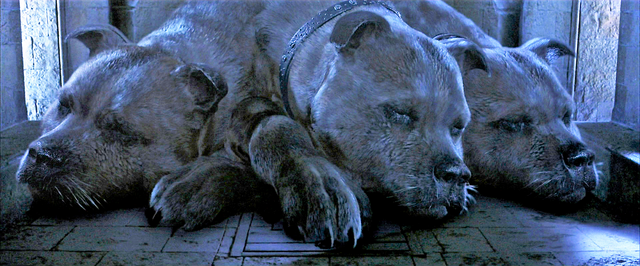 File:Fluffy2.png