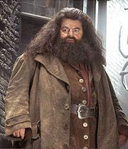 1080272-hagrid large.jpg