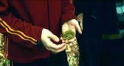 Gillyweed at Harry Potter's hand.jpg